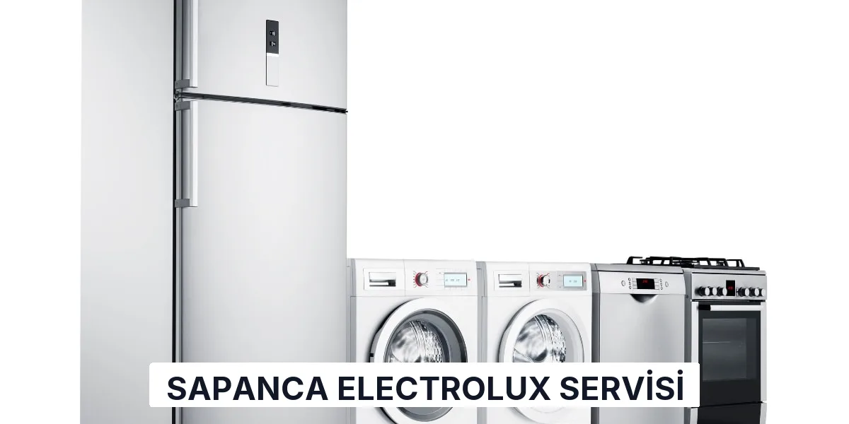 Sapanca Electrolux Servisi