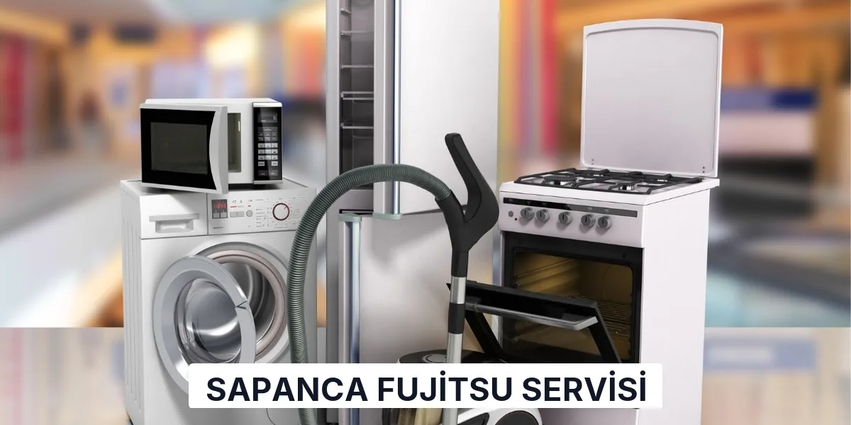 Sapanca Fujitsu Servisi