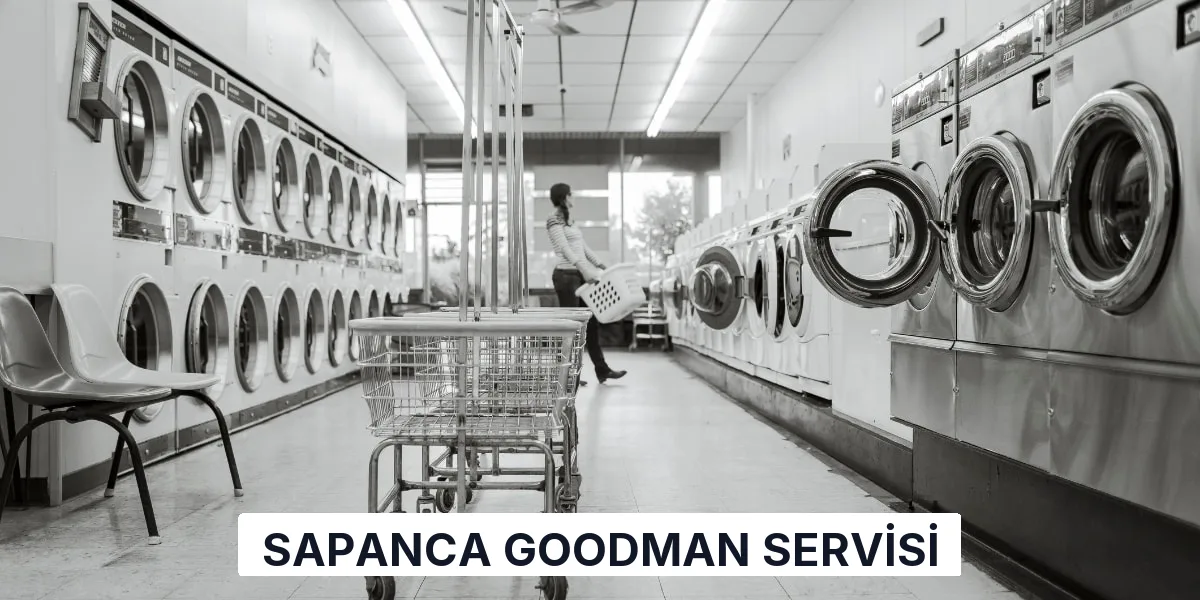 Sapanca Goodman Servisi