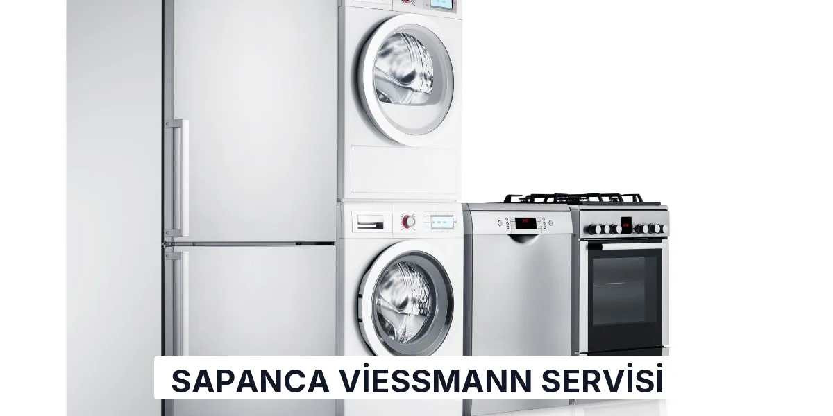 Sapanca Viessmann Servisi