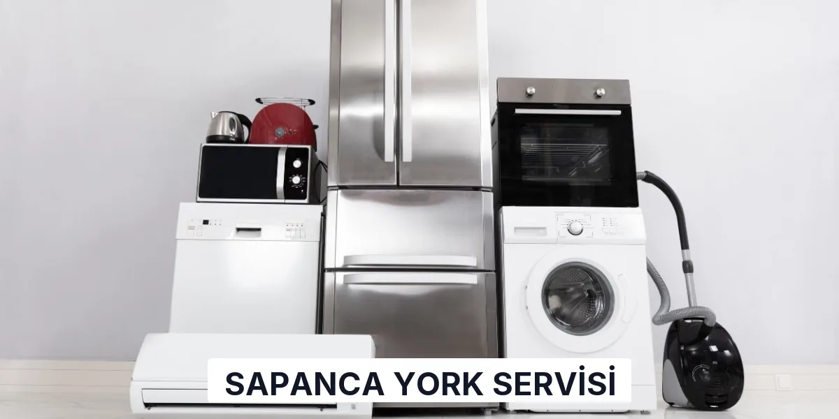 Sapanca York Servisi